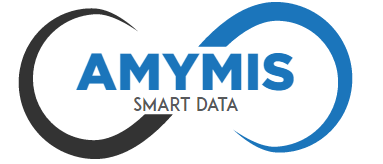 AMYMIS Consulting